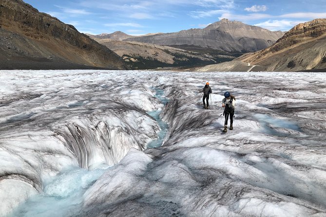 Book Jasper Athabasca Glacier Full-Day Tour