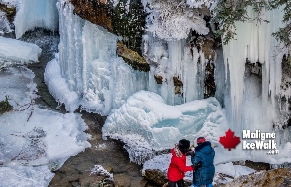 Book Jasper Maligne Canyon Ice Walk