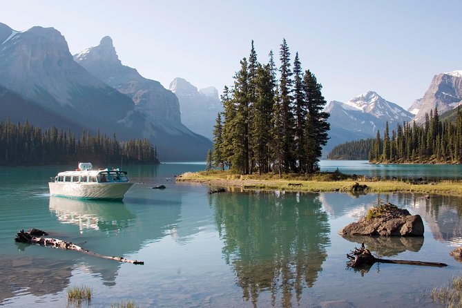 Book Jasper Jasper Wildlife and Waterfalls Tour with Maligne Lake Boat Cruise