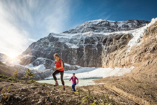 Book Jasper to Lake Louise One-Way Tour