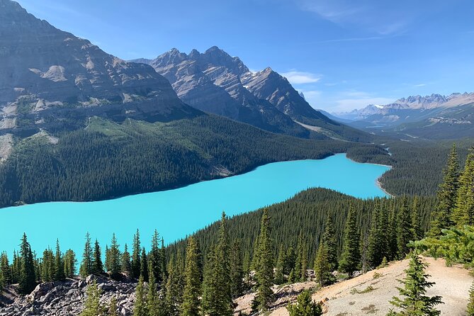 Book Moraine Lake, Lake Louise and Icefields Parkway Full Day Tour